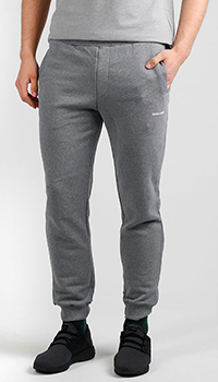 Серые спортивные брюки Roberto Cavalli с принтом, фото